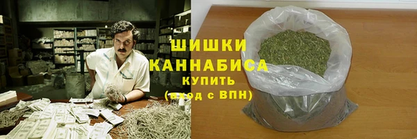 прущие грибы Алзамай