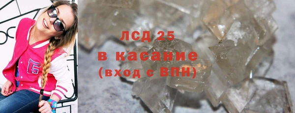 прущие грибы Алзамай