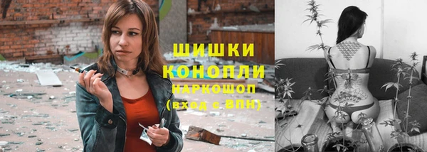 прущие грибы Алзамай