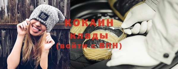 прущие грибы Алзамай