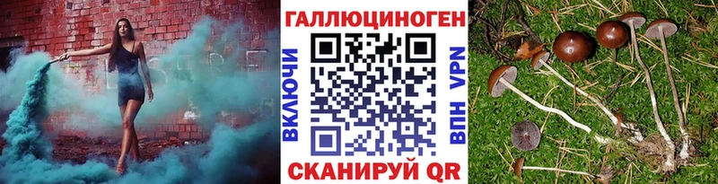 Галлюциногенные грибы прущие грибы  Лахденпохья 